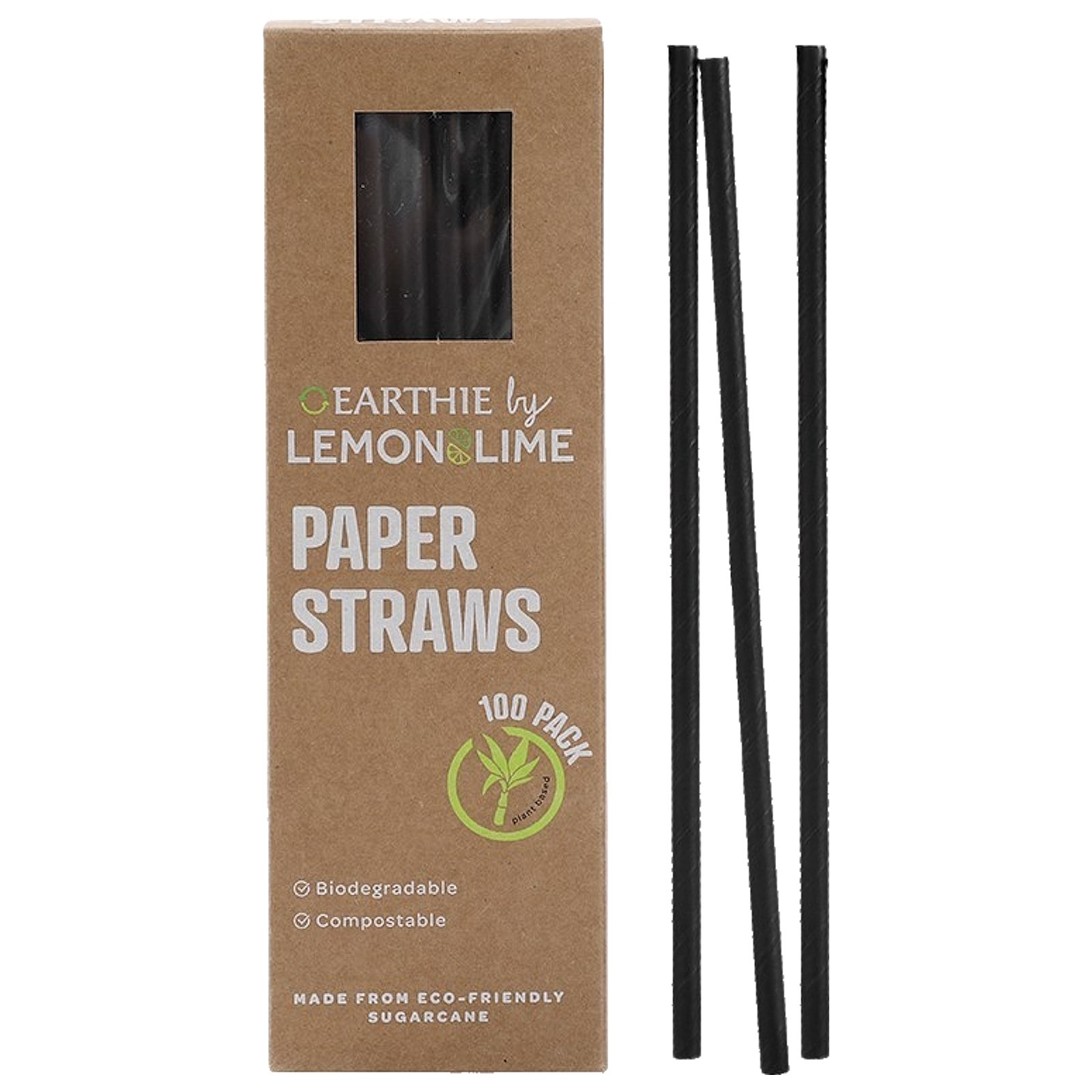 Black Eco-Friendly Sugarcane Paper Straws (Bulk Pack of 100)