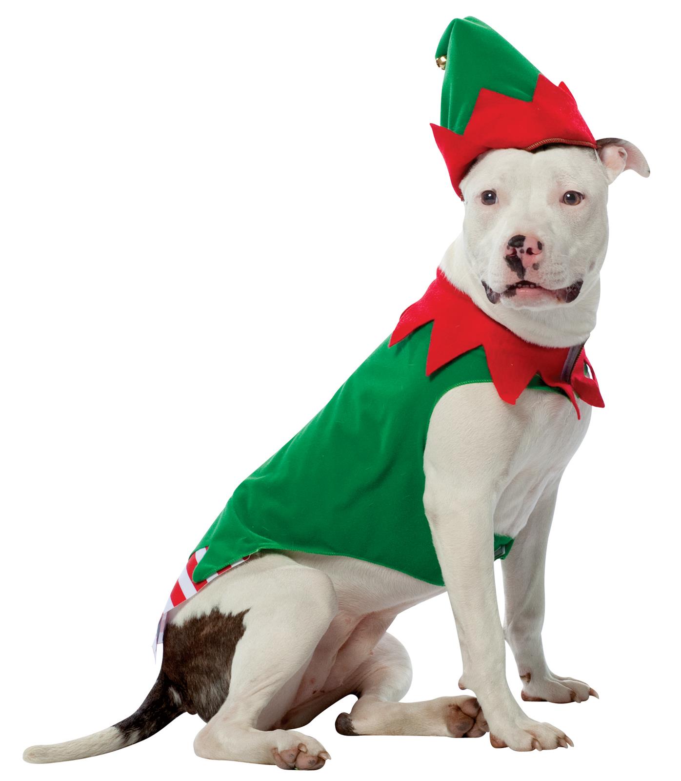 Elf Pet Costume