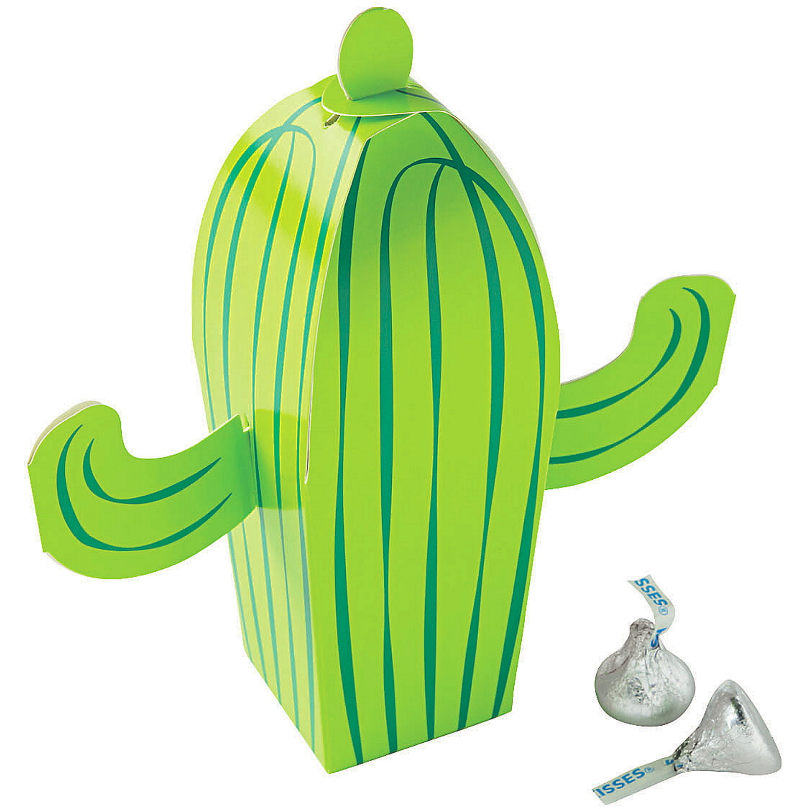 Fiesta Cactus Favour Boxes (Pack of 12)