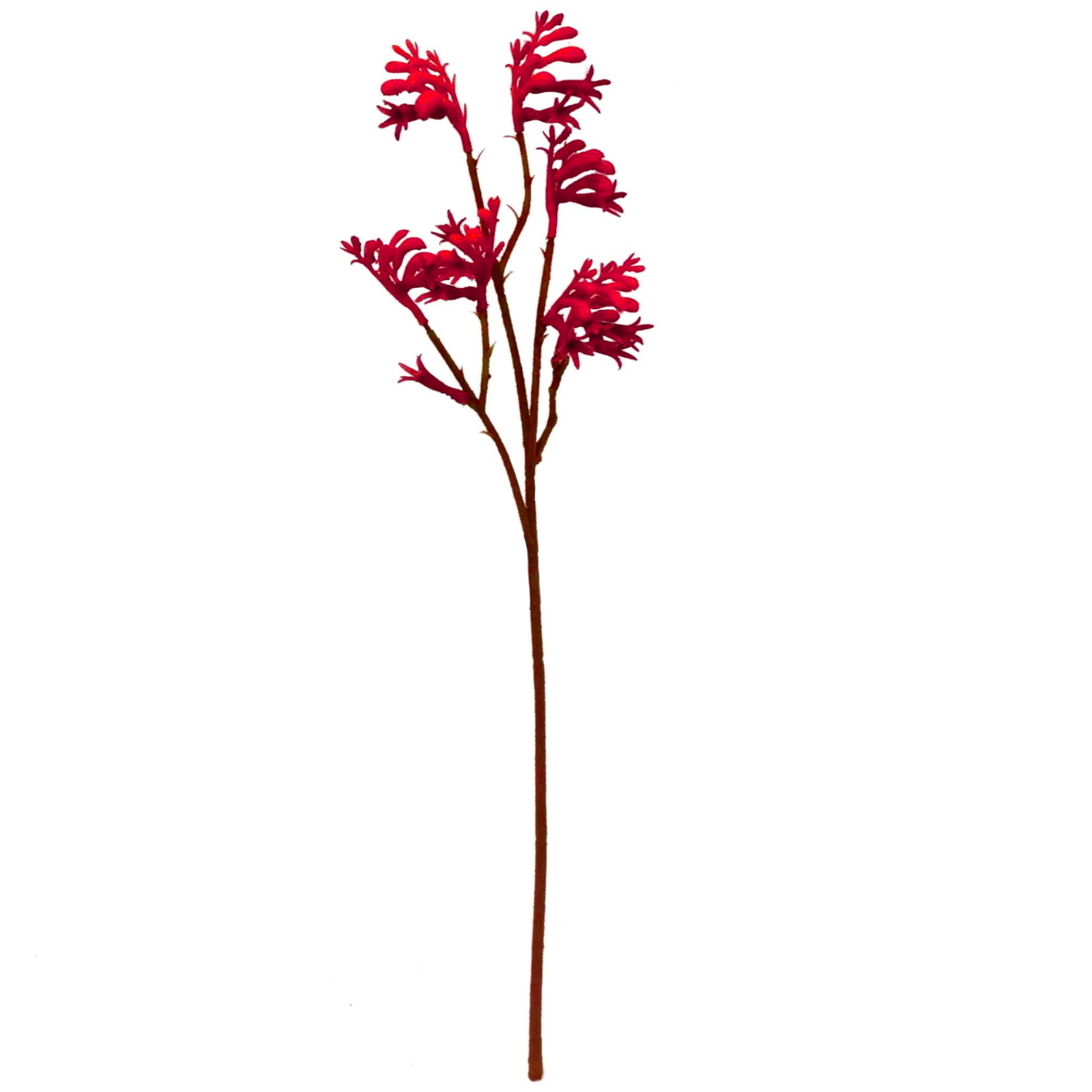 Artificial Australian Native Red Kangaroo Paw (1 Stem) 