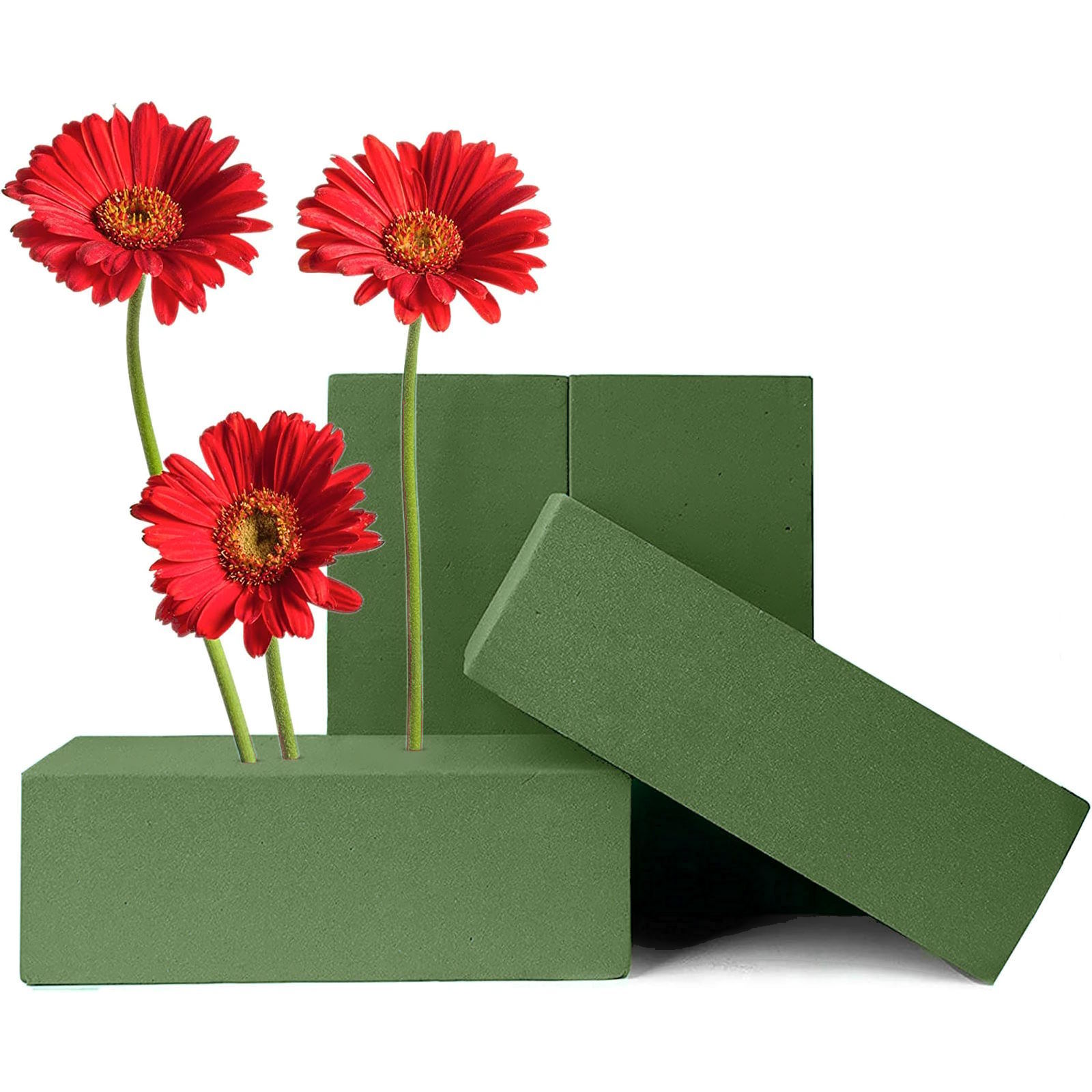 Floral Foam Bricks (Pack of 20)