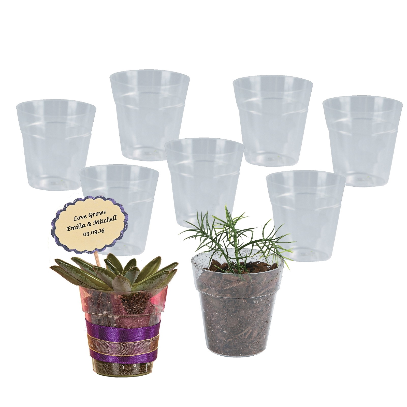 Mini Plastic Clear Flower Pots (Pack of 24)
