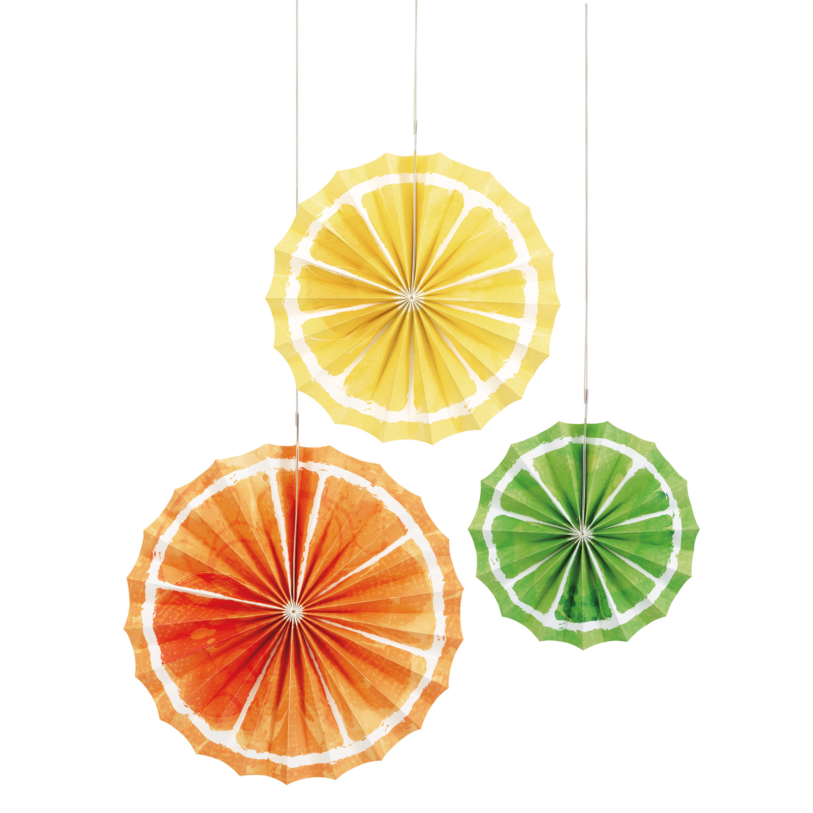 Citrus Fruits Paper Fans (Pack of 3)