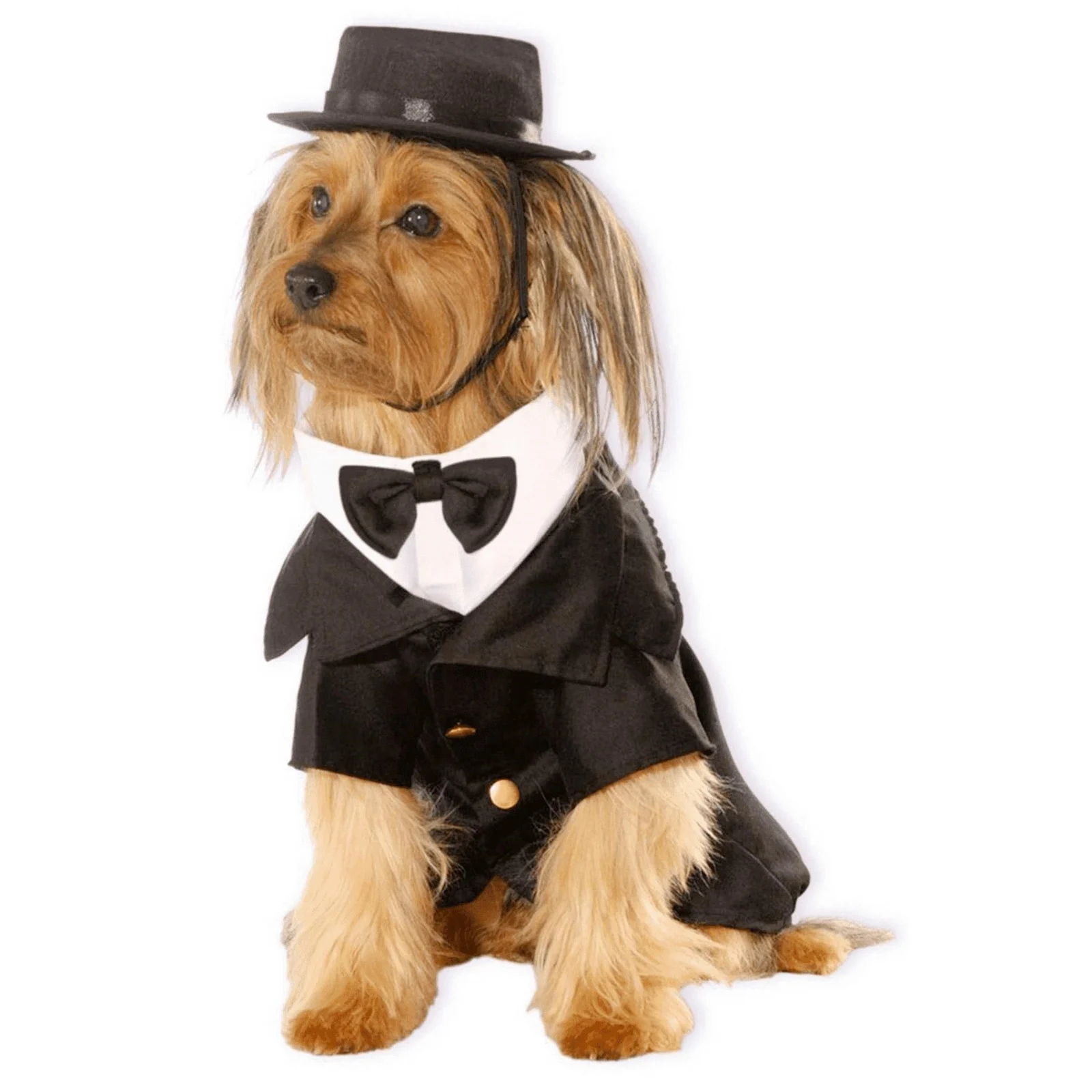 Dapper Dog Pet Costume