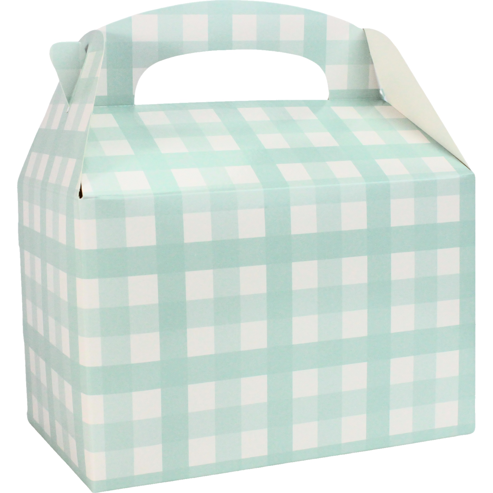 Pastel Mint Green Gingham Lolly/Treat Boxes (Pack of 4)