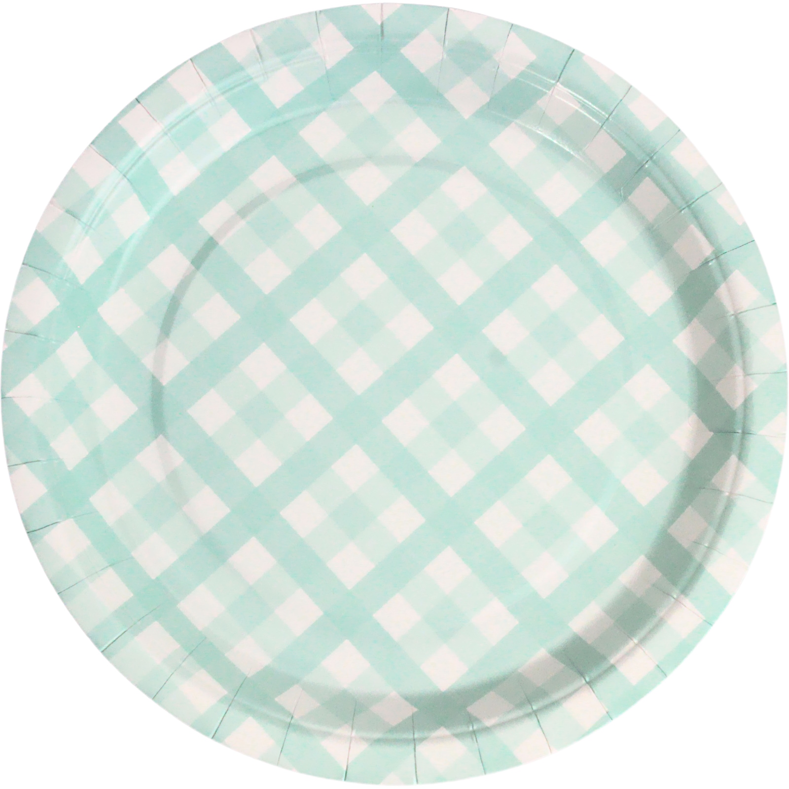 Pastel Mint Green Gingham Large Paper Plates (Pack of 8)