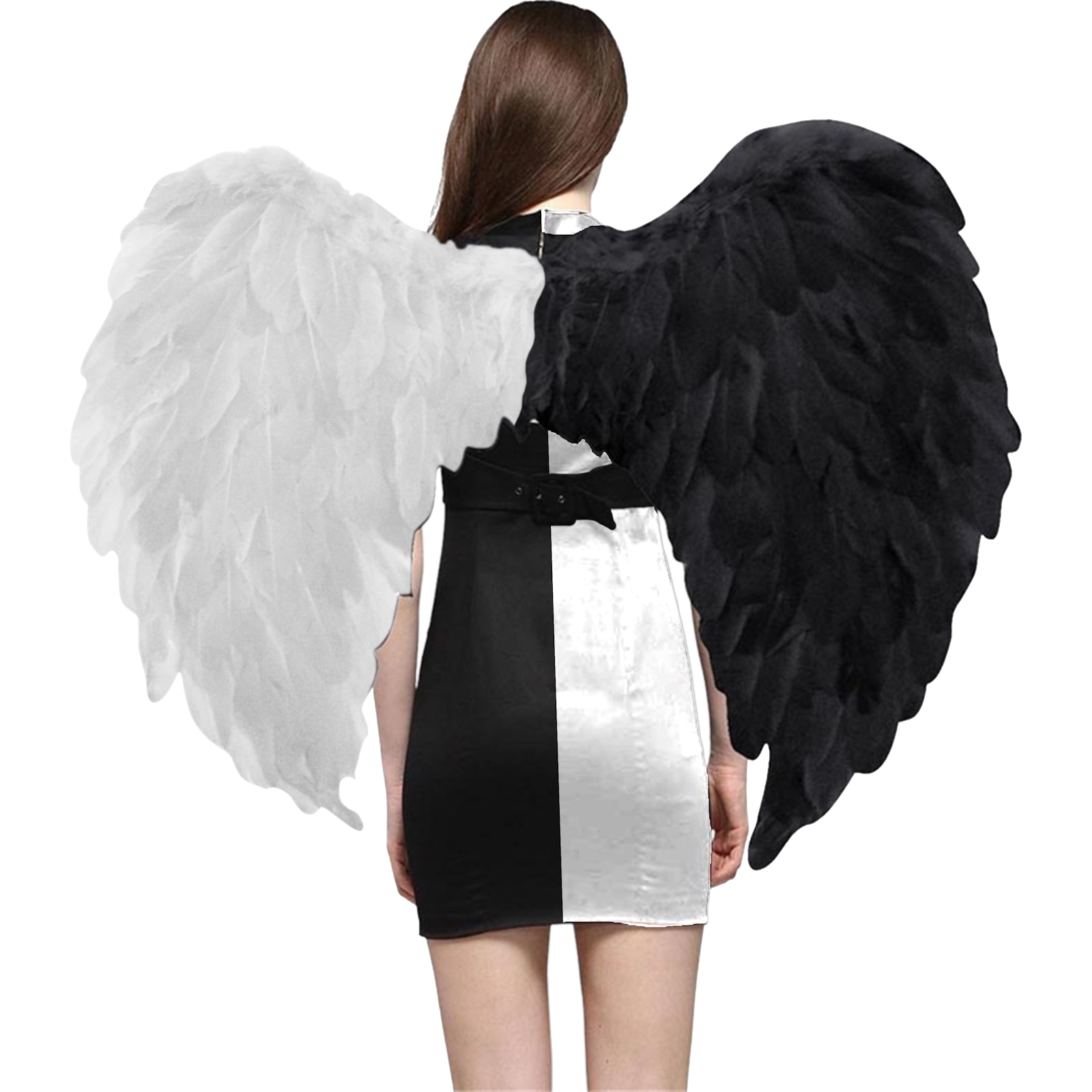 Feathered Angel Devil Wings (80cm x 60cm)