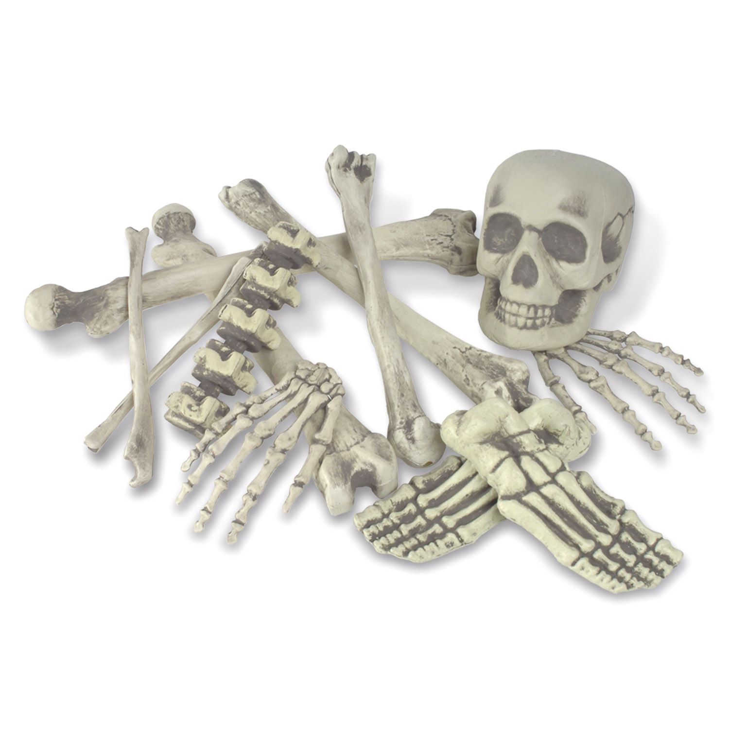 Skeleton Bones