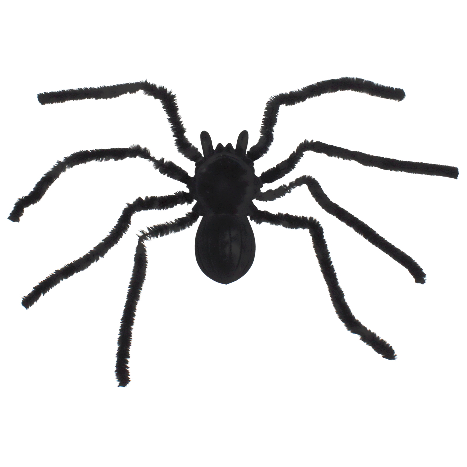 Jumbo Furry Tarantula