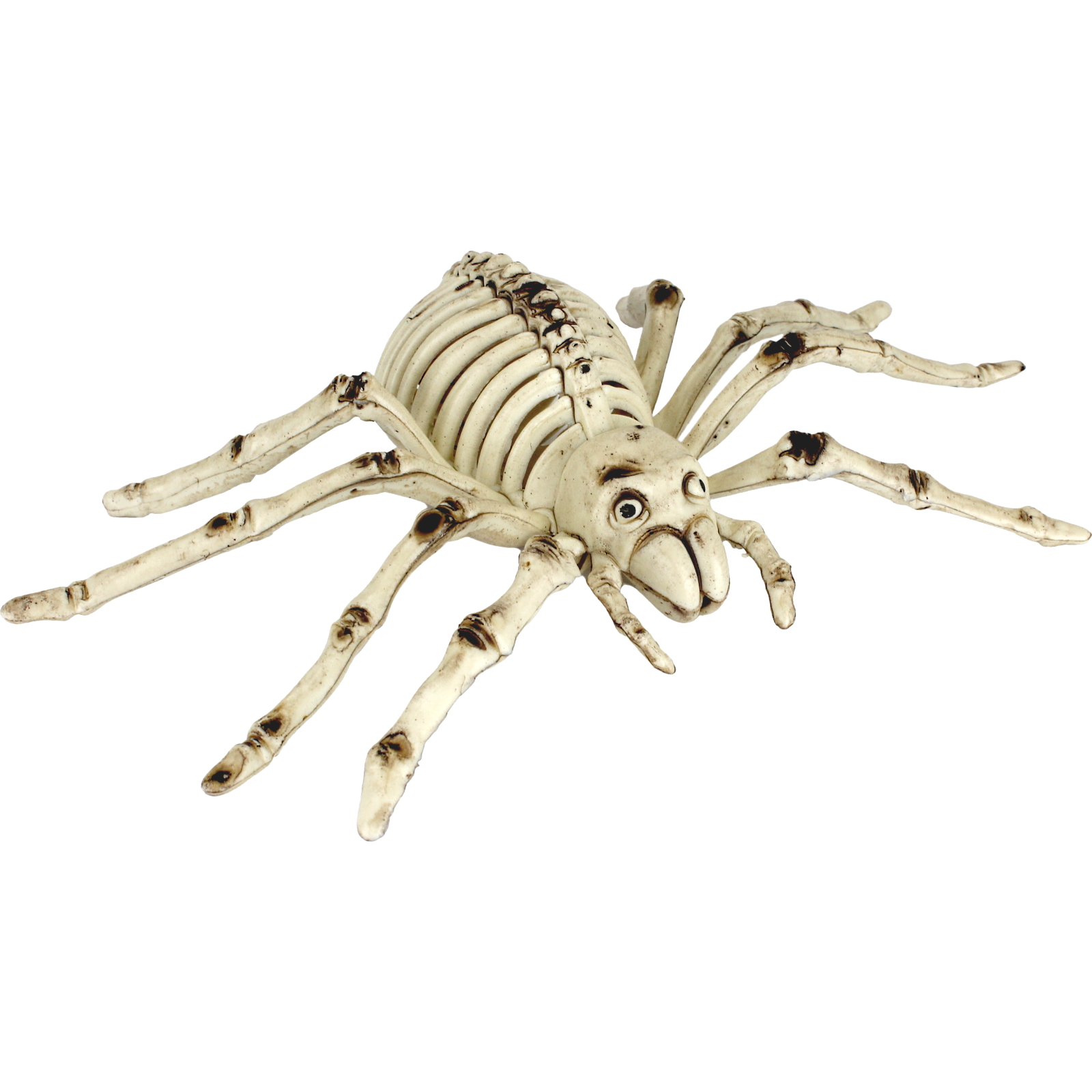 Skeletal Spider Decoration