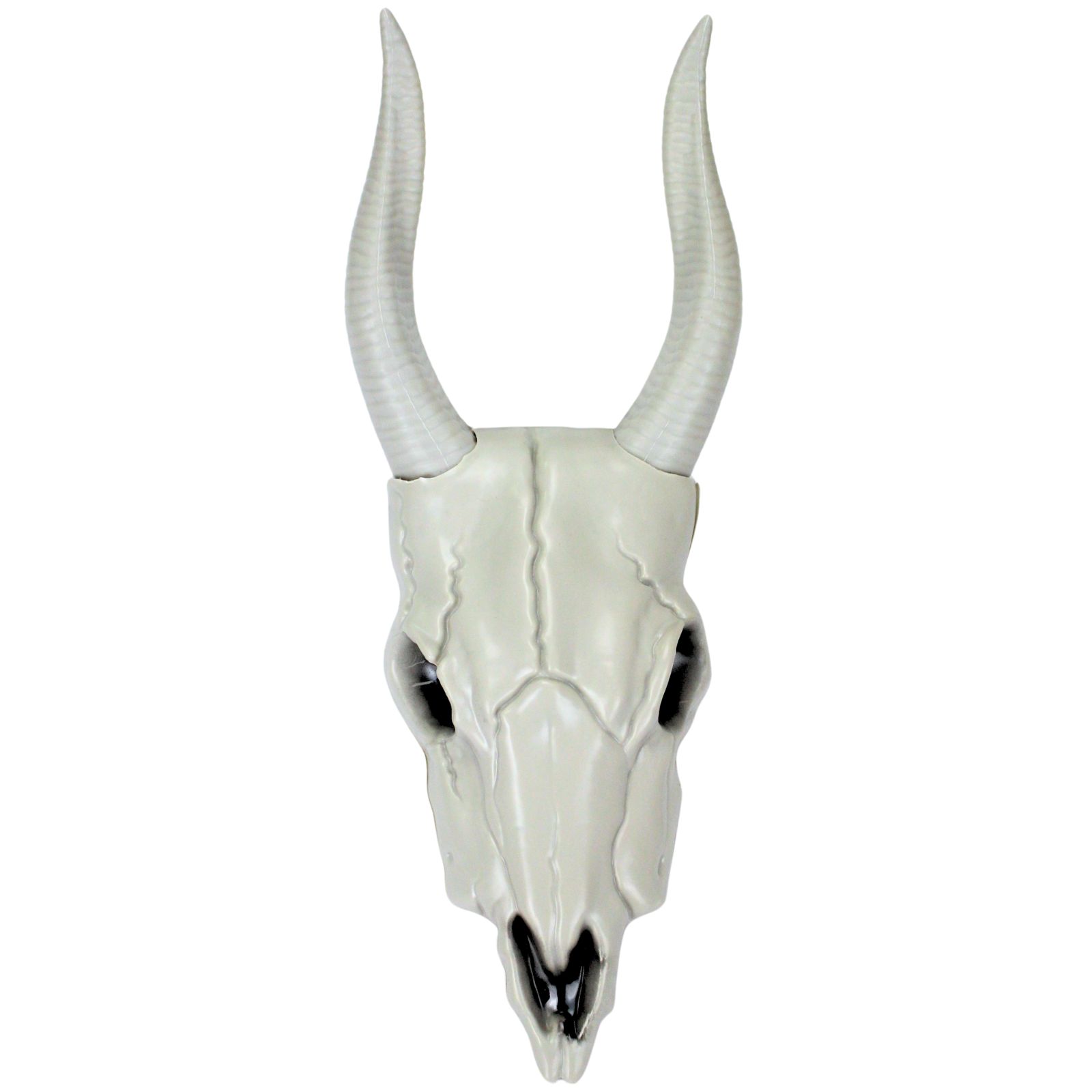 Antelope Skeleton Head Decoration 