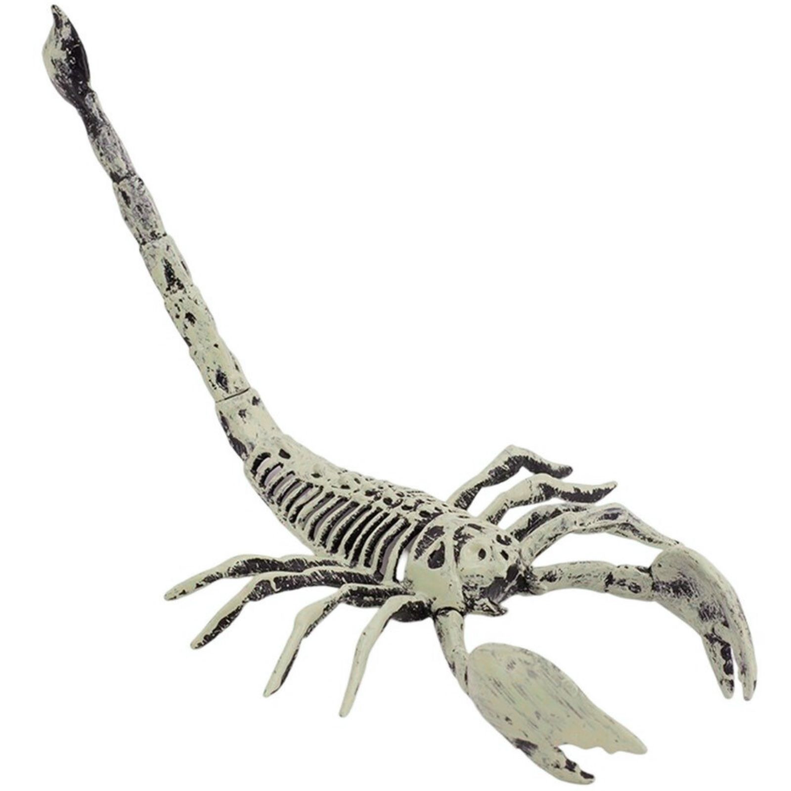 Skeletal Scorpion Decoration 
