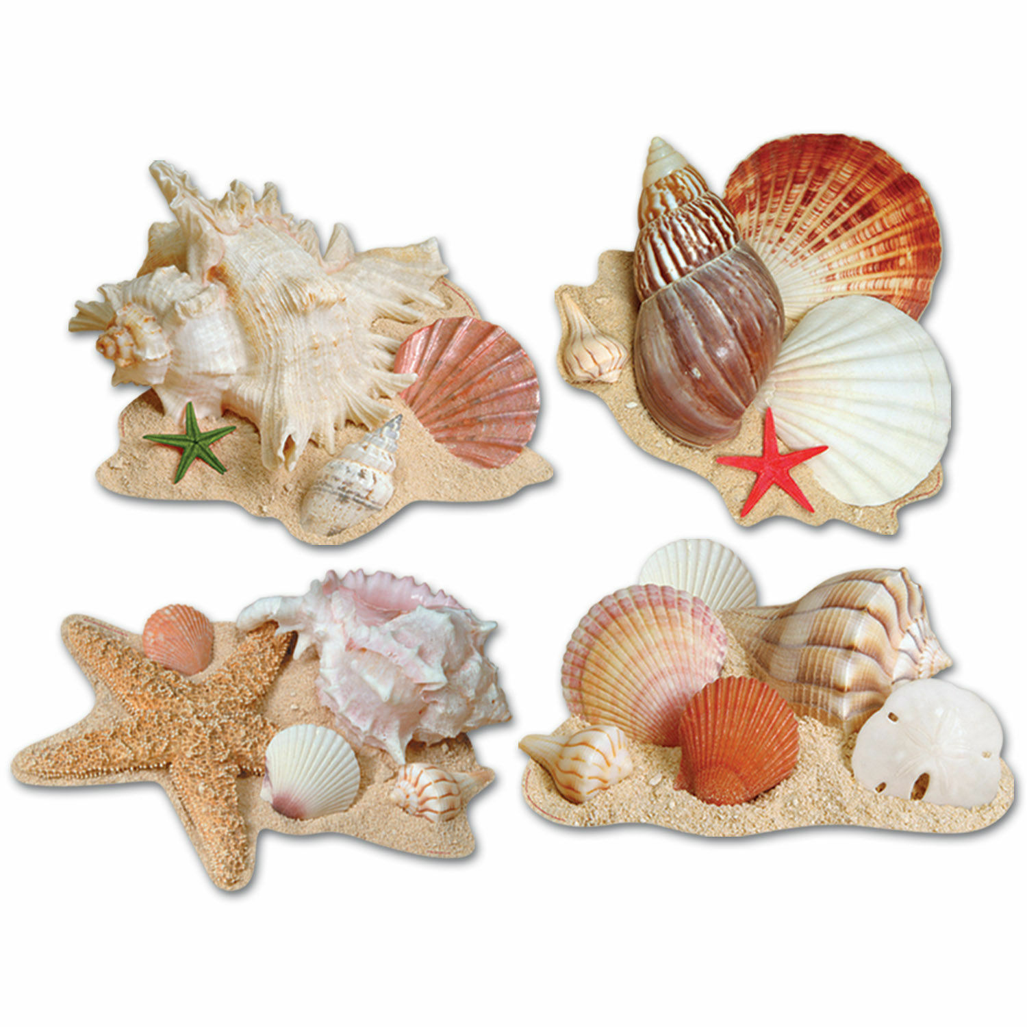 Seashell Cutout Decorations (Pack of 4)