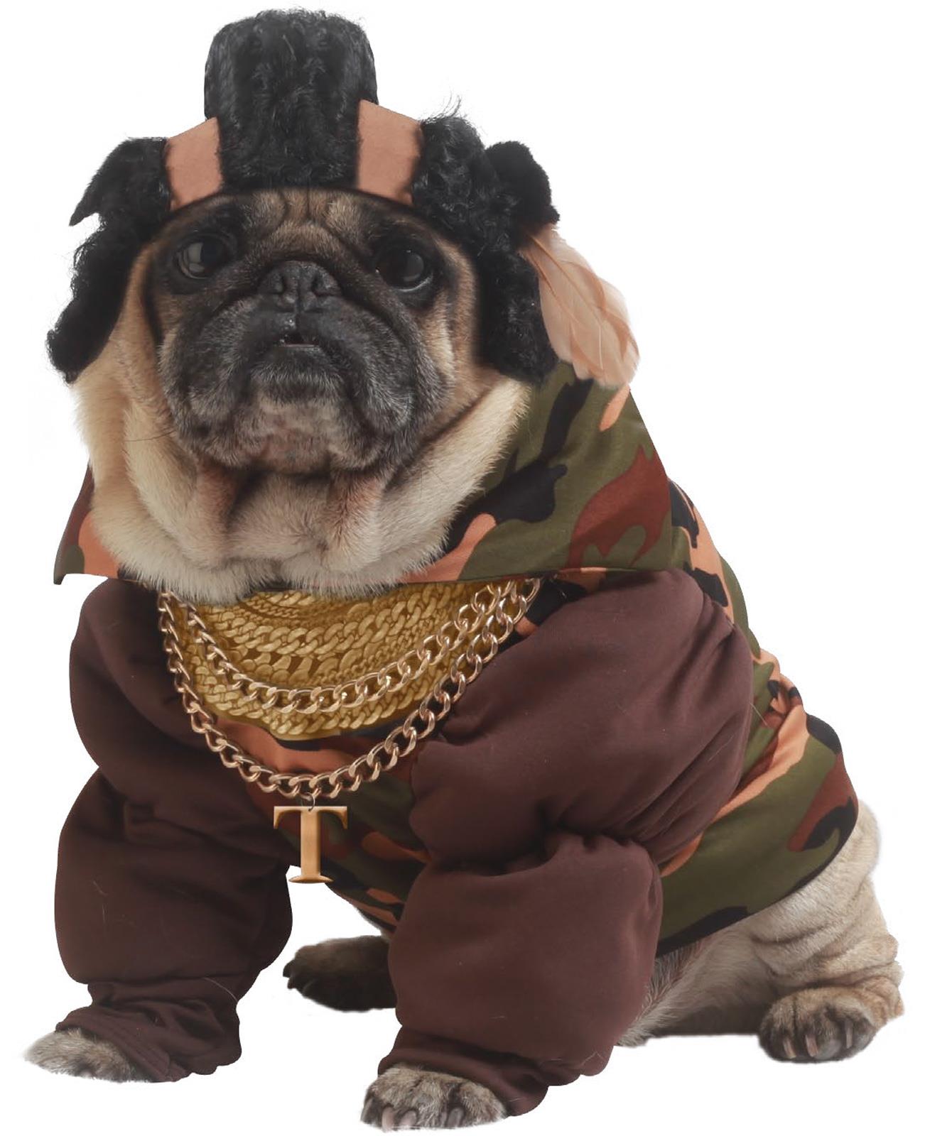 Pity the Fool Mr. T Pet Costume
