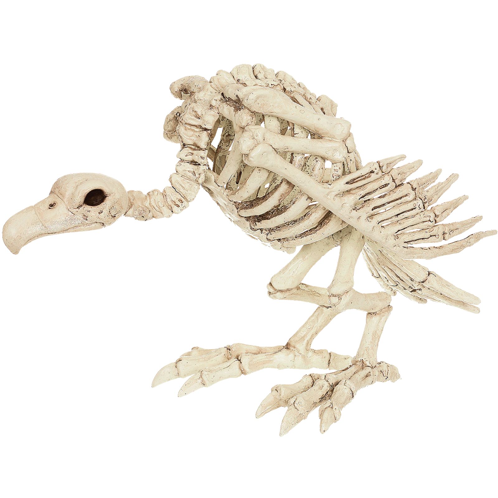 Skeleton Vulture Halloween Prop
