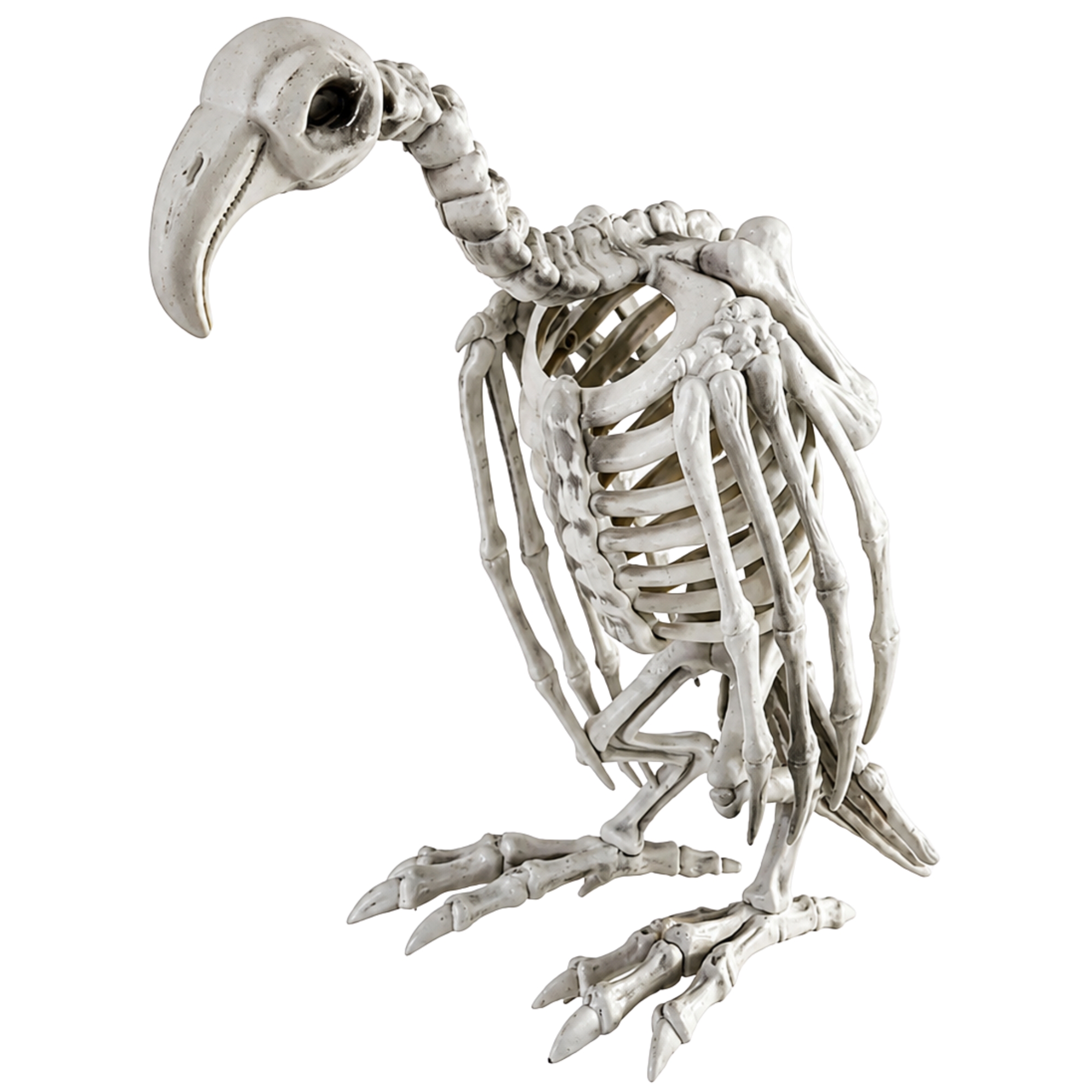 Skeletal Vulture Decoration 32cm