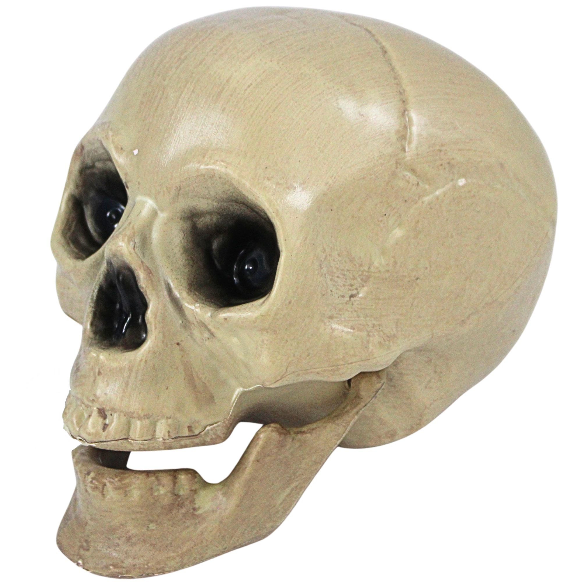 Halloween Skull Decoration