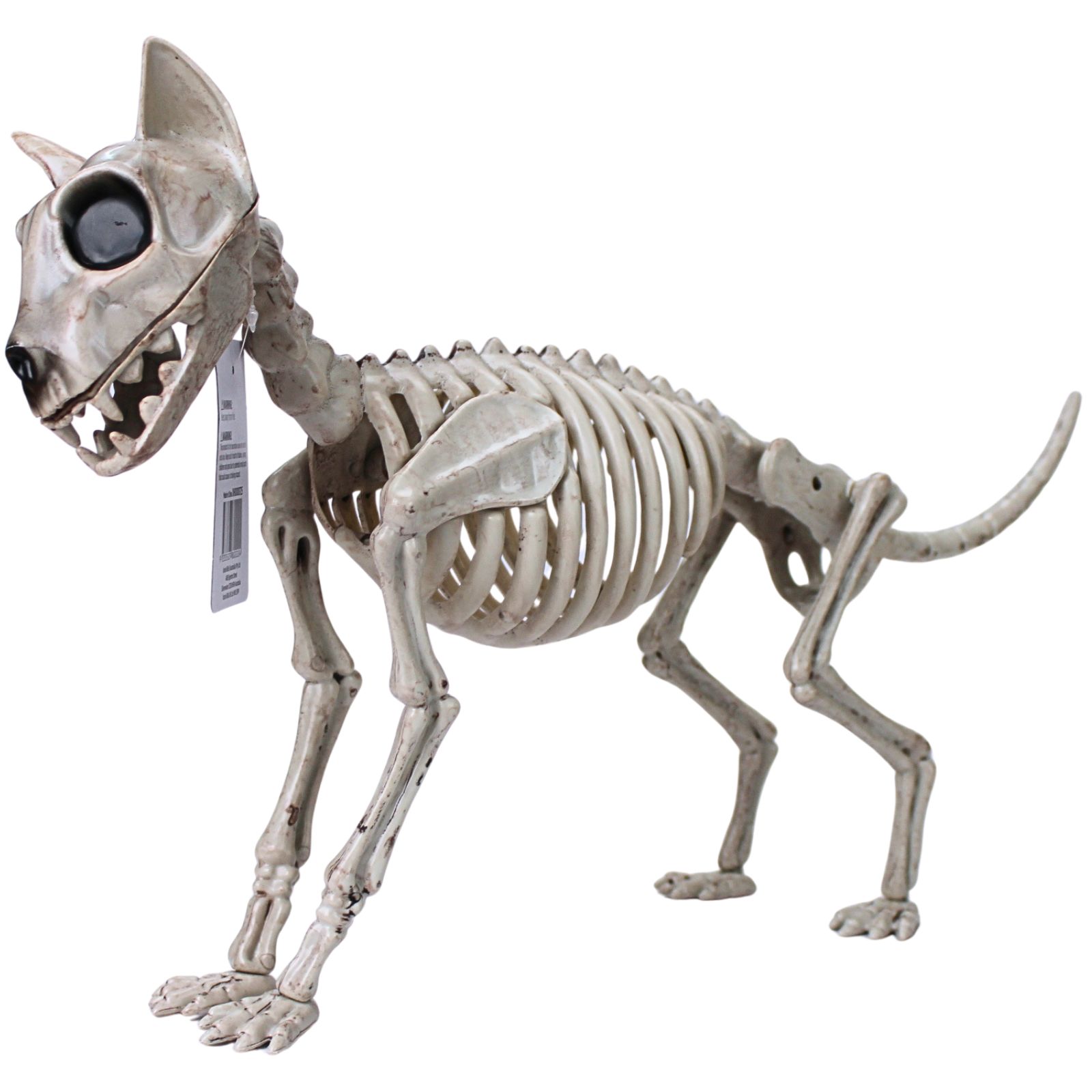 Skeletal Cat Decoration