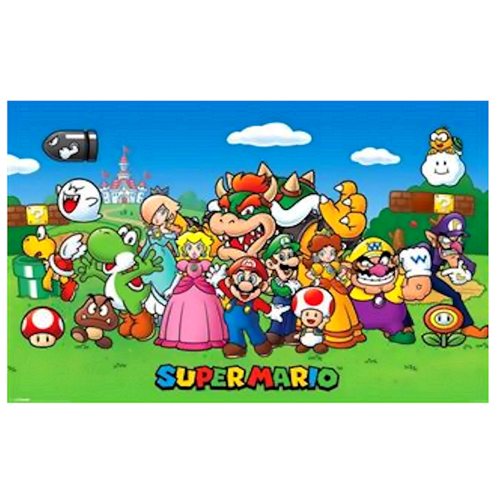 Super Mario Characters Poster 