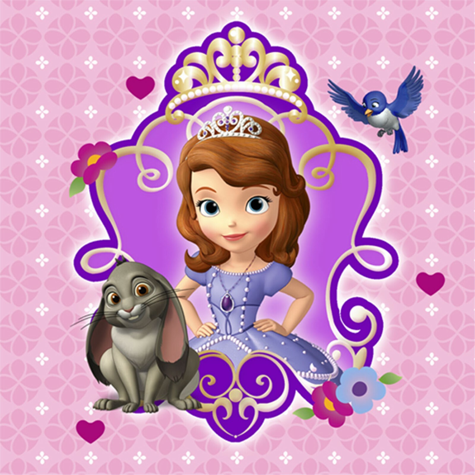 Sofia the First Small Napkins / Serviettes (Pack of 16)