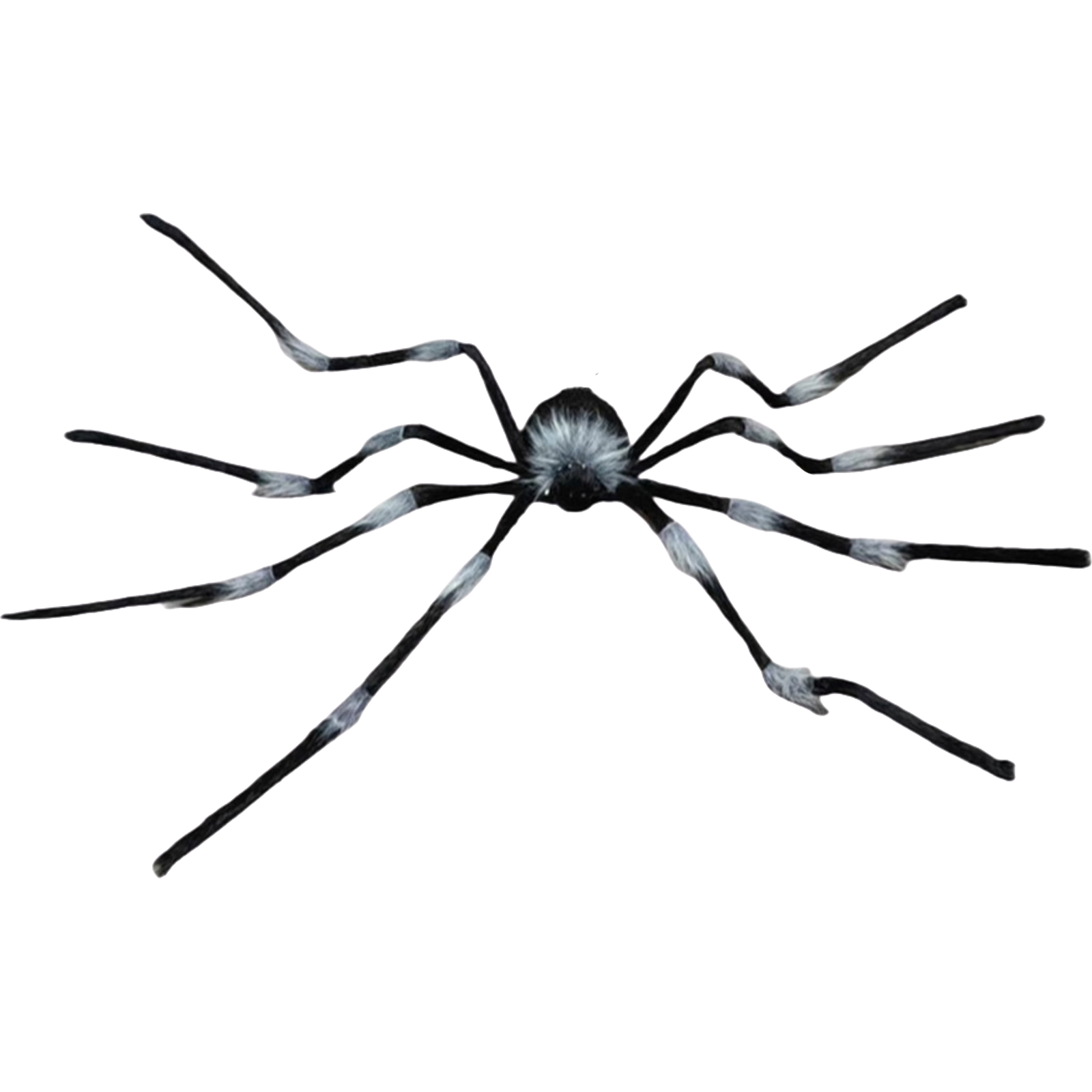 Halloween Light Up Animatronic Spider 160cm