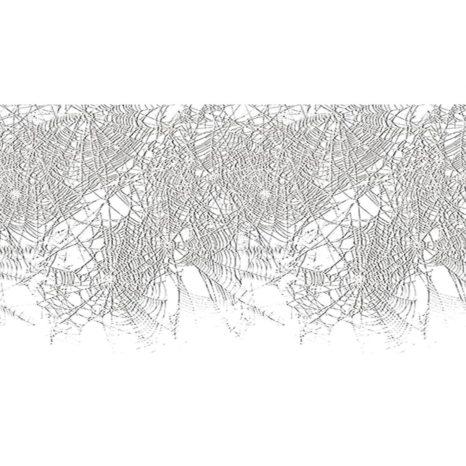 Insta Theme Spider Web Border Backdrop 