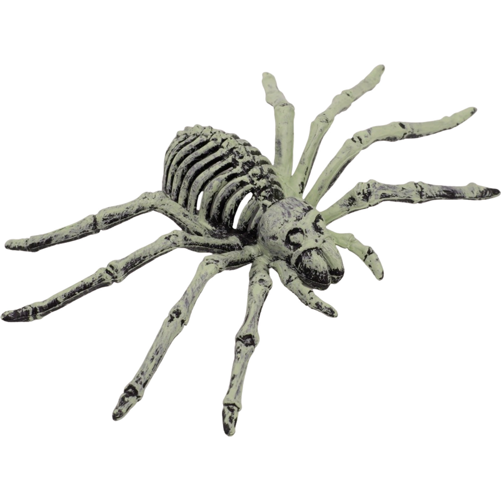 Spider Skeleton Decoration