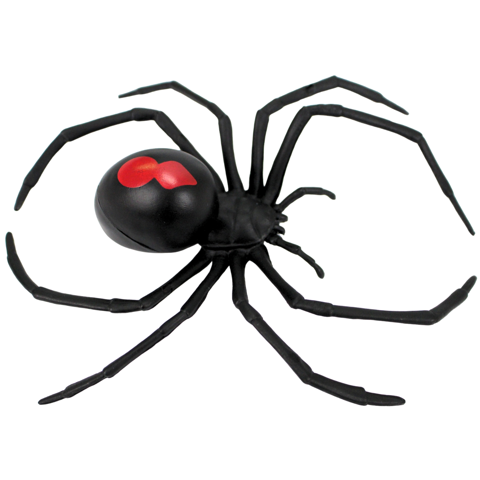 Large Redback Spider
