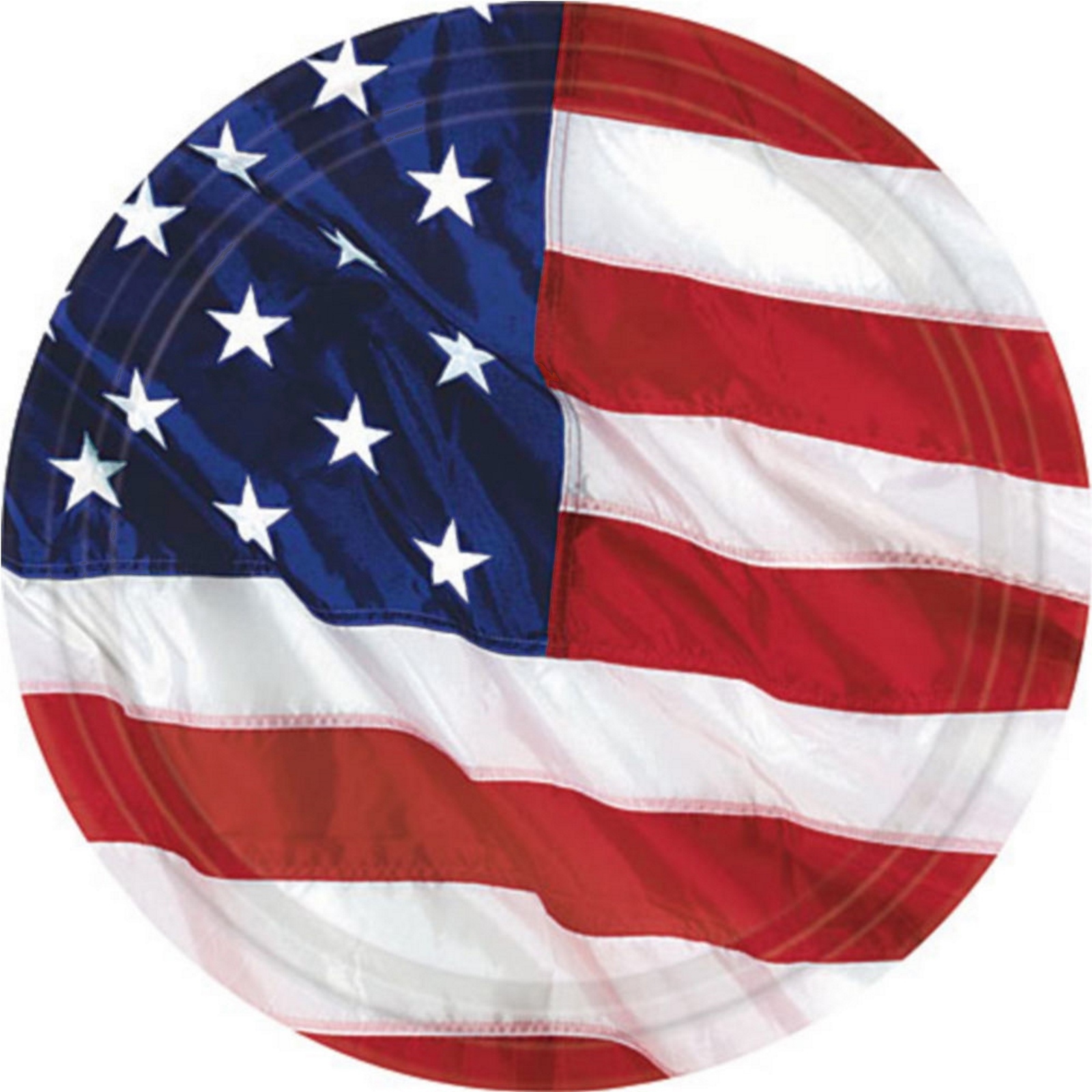 USA Large Paper Plates (Pack of 8)