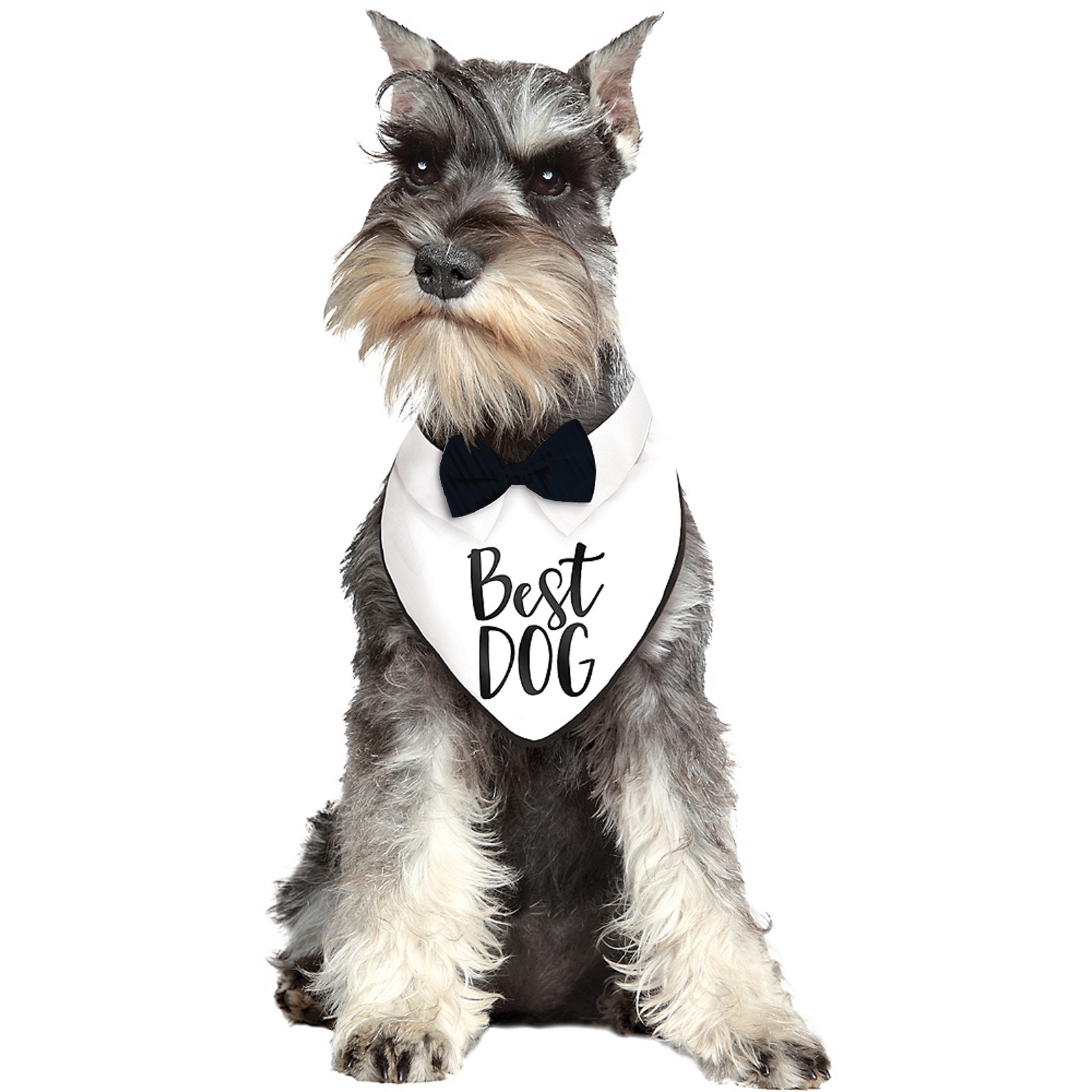 Best Dog Wedding Bandana