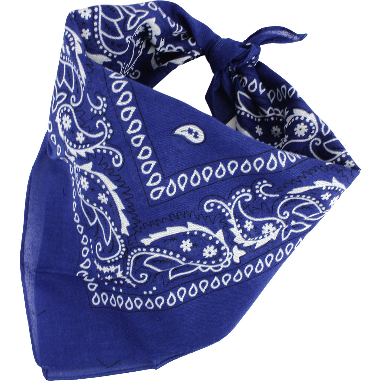 Blue Paisley Bandana