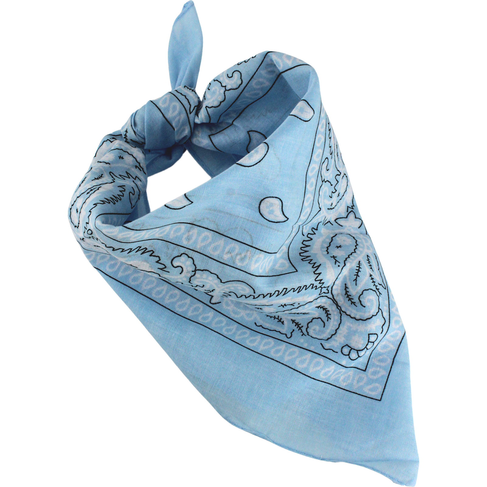 Light Blue Paisley Bandana