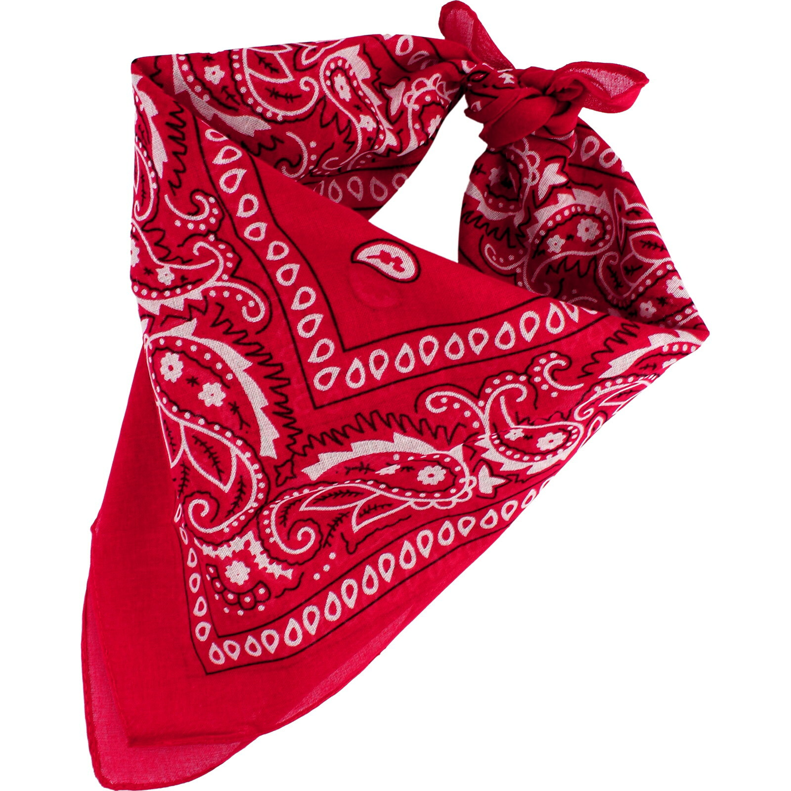 Red Paisley Bandana